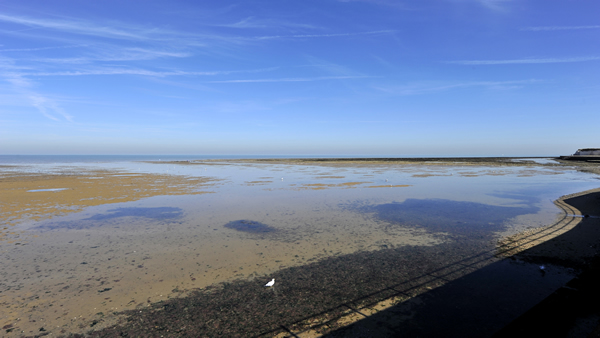 1Minnis Bay