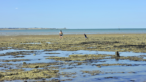 2Minnis Bay