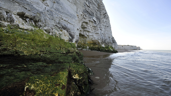 7Kingsgate Bay