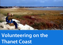 Volunteering on the Thanet Coast